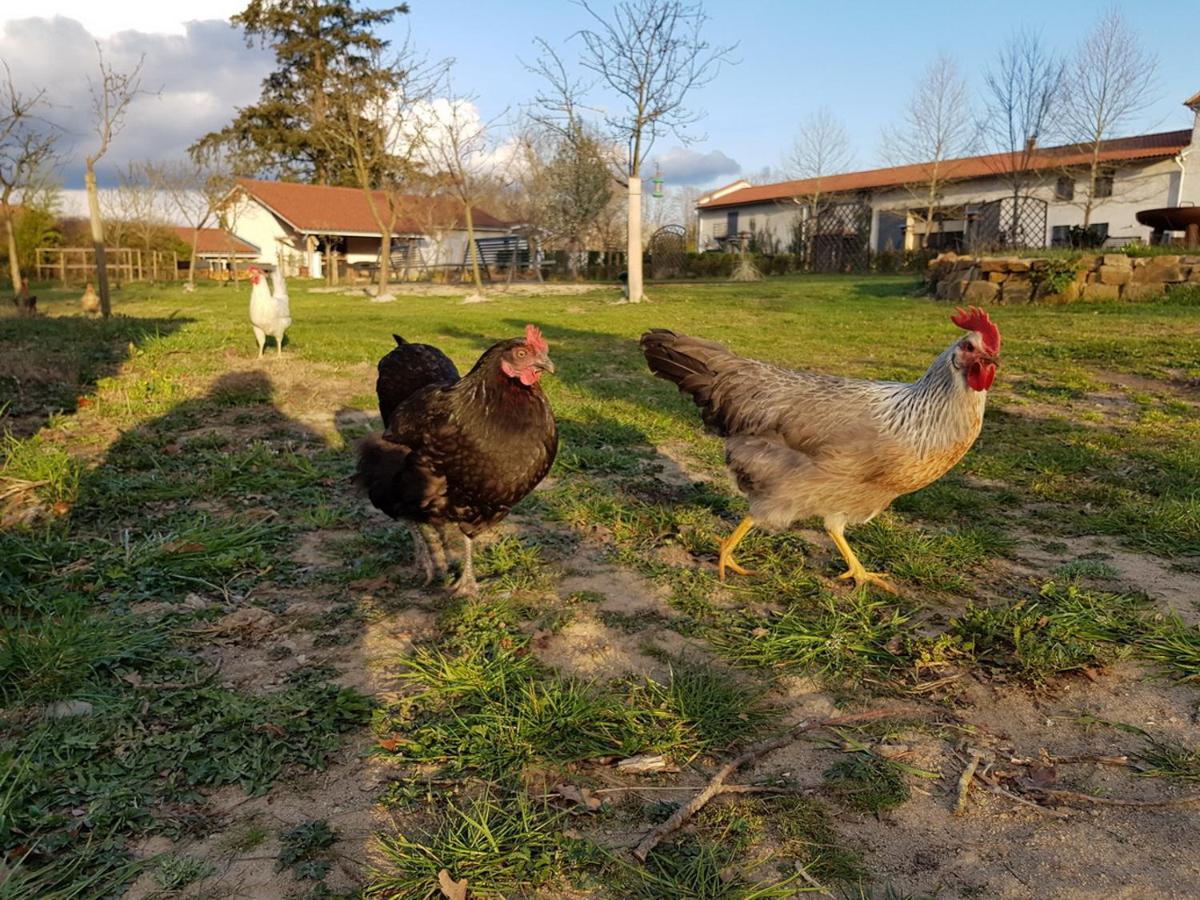 Chateau Des Perichons Poncins Bagian luar foto