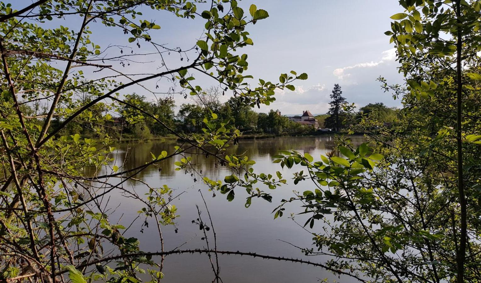 Chateau Des Perichons Poncins Bagian luar foto