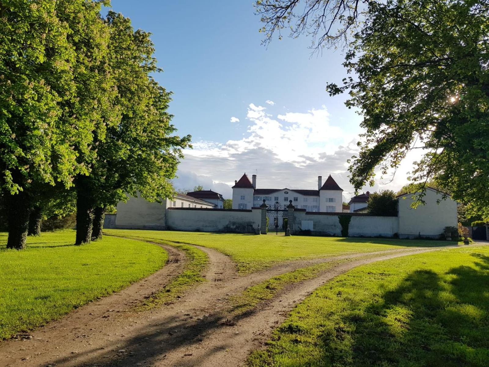 Chateau Des Perichons Poncins Bagian luar foto